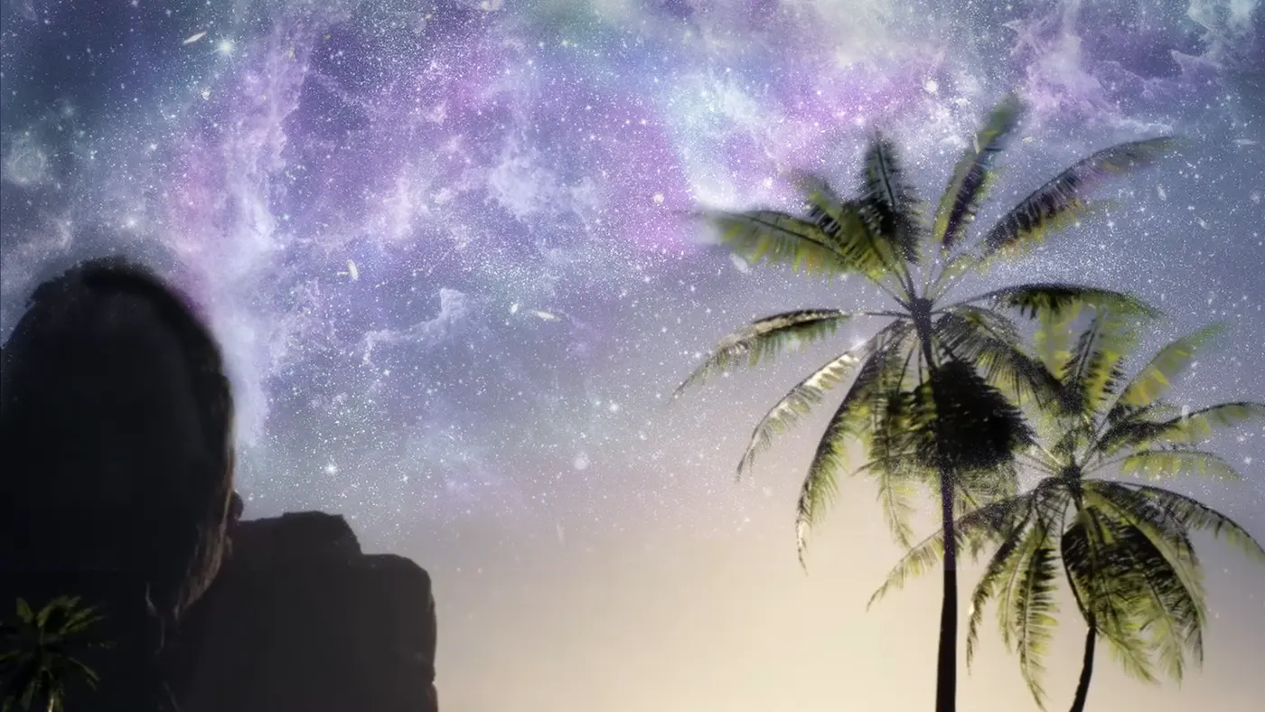 Palm trees silhouetted against the Milky Way